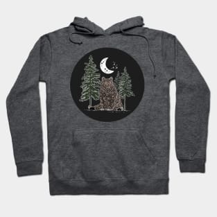 woodsy bear (color version) Hoodie